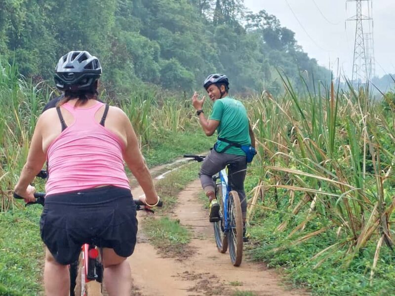 Phuket: Half-Day Countryside Cycling Tour with Lunch - Exploring Phuket’s Countryside by Bike: A Balanced Look at the Half-Day Tour
