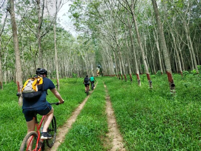 Phuket: Half-Day Countryside Cycling Tour with Lunch - Exploring the Itinerary: What You Can Expect