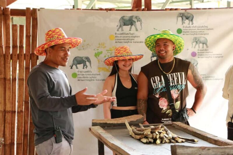 Phuket: Half-Day Ethical Elephant Sanctuary Tour with Lunch - Key Points