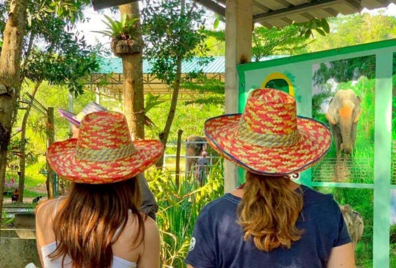 Phuket: Half-Day Ethical Elephant Sanctuary Tour with Lunch - Who Will Appreciate This Experience?