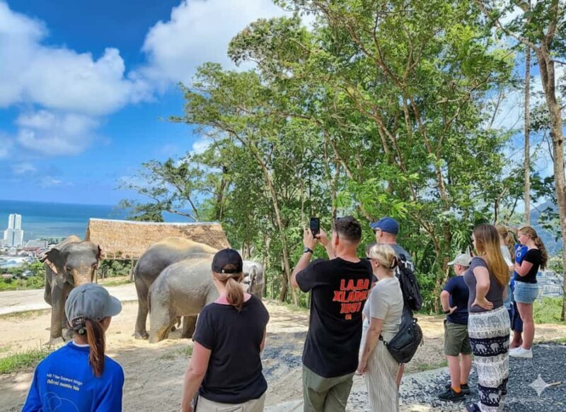 Phuket: Half-Day Ethical Elephant with Meal and Transfer - FAQ