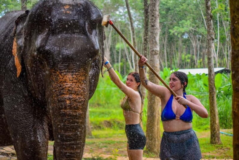 Phuket: Happy Hour Feed and Rain Shower with Elephant - Is This Tour Right for You?