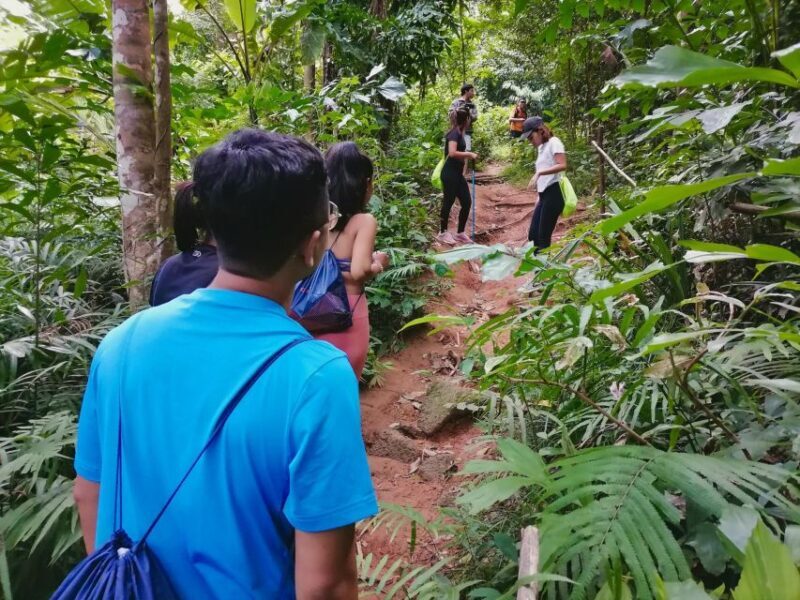 Phuket: Hiking to Sunrise - Practical Tips for Your Hike