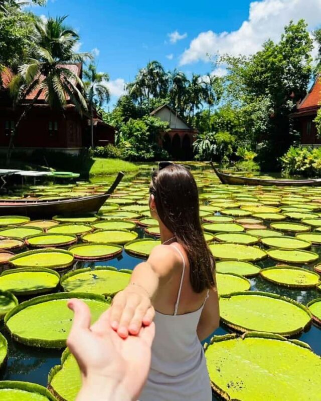 Phuket: Instagrammable Cafes Tour with Hotel Pickup - Who Will Love This Tour?