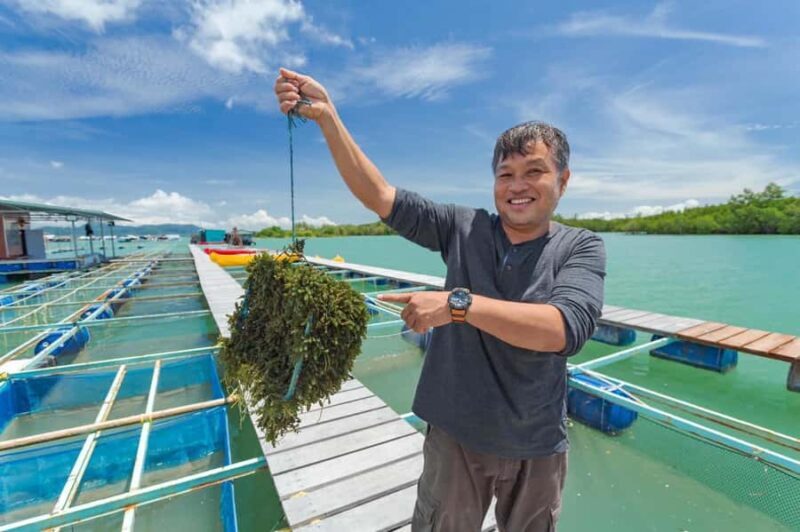 Phuket: Intara Farm & Pearl Factory Half-Day Tour with Lunch - Practical Details: Transportation, Timing, and Group Size