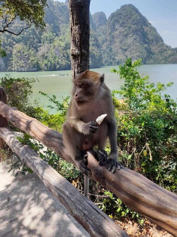 phuket-james-bond-island-by-longtail-boat-vip-group-tour