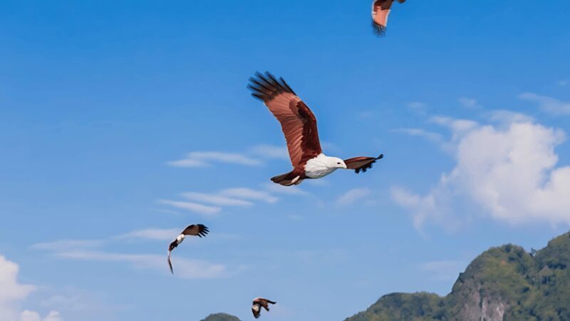 Phuket: James Bond Island Sea Canoe by Speedboat - Final Thoughts: Is This Tour Worth It?