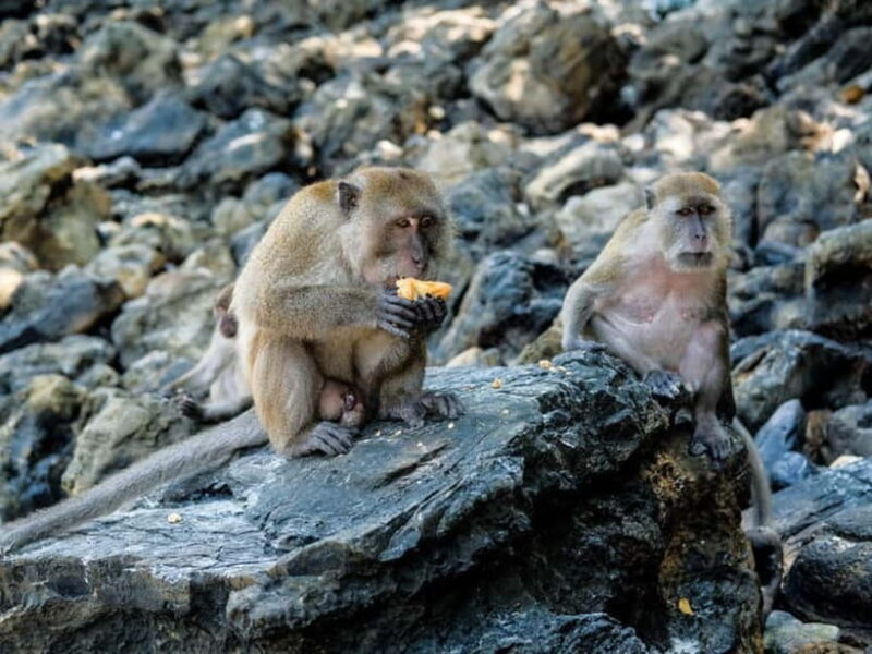 Phuket: James Bond Island Sea Canoe with lunch by Big Boat - What Makes This Tour Stand Out