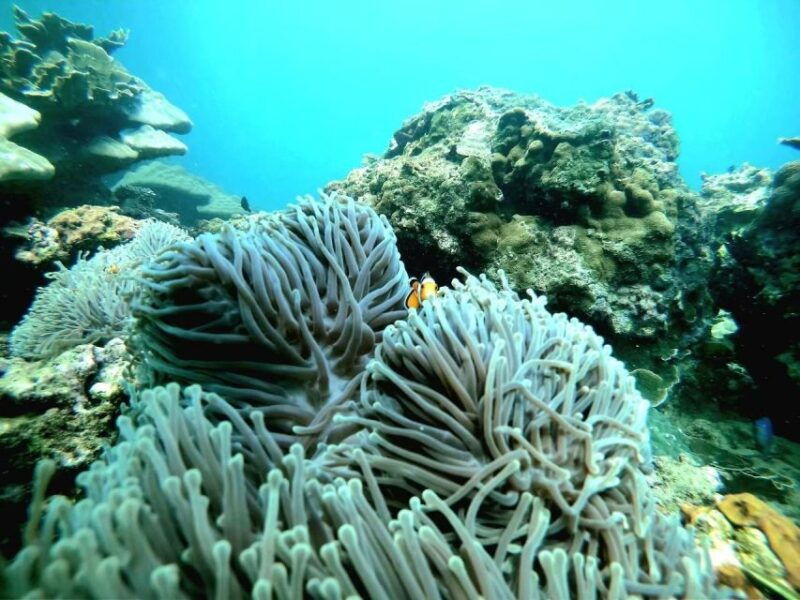 phuket-james-bond-phang-nga-island-day-trip