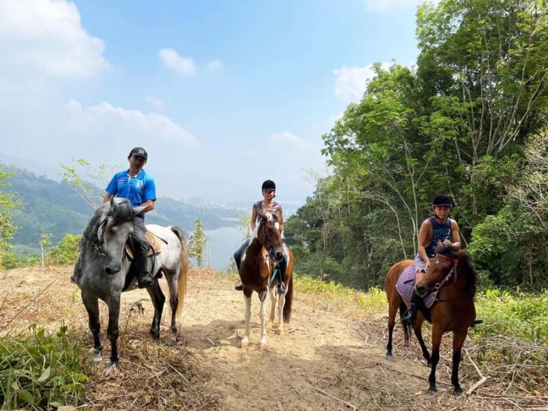 Phuket Jungle Horseback Ride with Scenic Forest Views - Authentic Experiences & Hidden Gems