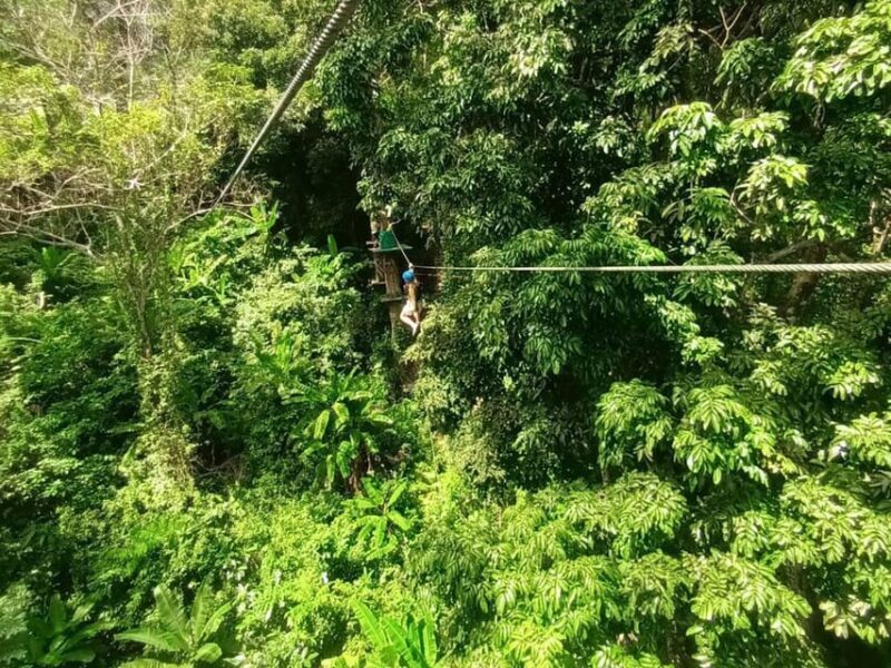 Phuket: Jungle Xtrem Adventures and Zipline Park - Key Points