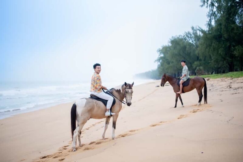 Phuket: Kamala Beach Horse Riding Activity - The Experience at a Glance