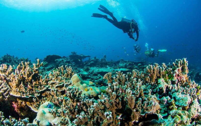 phuket-khao-lak-similan-island-adventure-tour