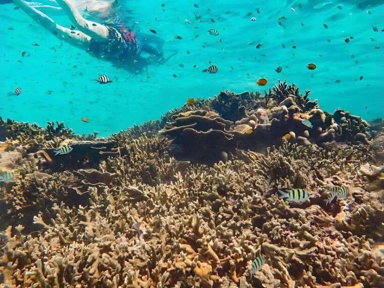 phuket-khao-lak-similan-islands-boat-trip-with-3-meals
