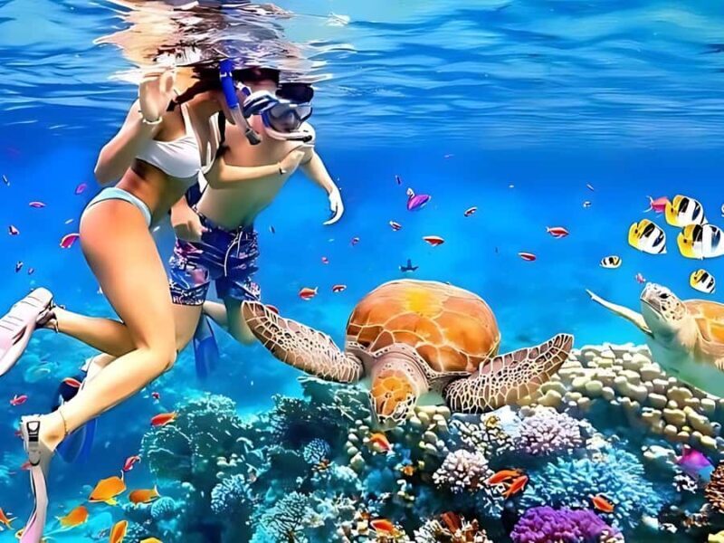 Phuket/Khao Lak: Similan Islands by Speedboat - The Value of the Experience