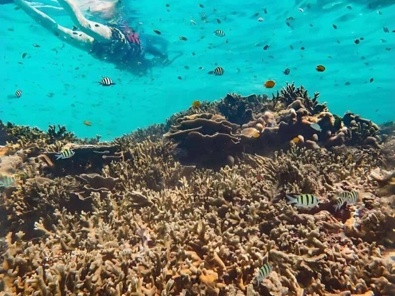 Phuket/Khao Lak: Similan Islands by Speedboat - Final Thoughts: Who Will Love This Tour?