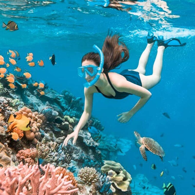 Phuket/Khao lak: Similan Islands Speed Catamaran Day Trip - FAQs