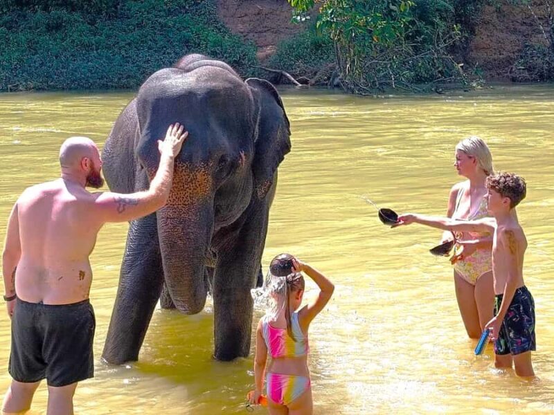 Phuket: Khao Sok Private Elephant Day Care and Bamboo Raft - Authentic Experiences from Real Travelers
