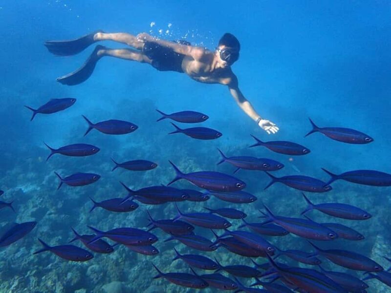 Phuket: Koh Rok and Koh Ha Day Trip (Best of Marine Park) - The Experience: What to Expect on the Koh Rok and Koh Ha Tour