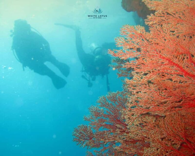 Phuket LGBTQ+ Friendly Scuba & Snorkeling Day Trip - Key Points