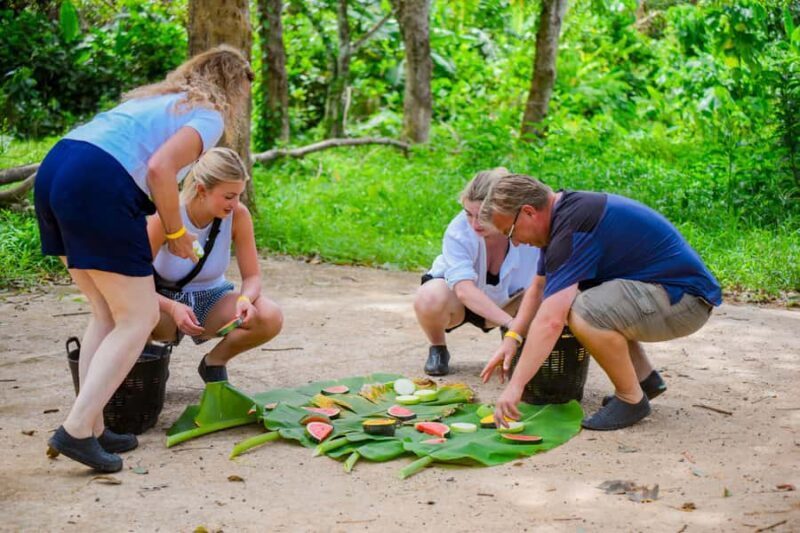 Phuket: Lily Elephant Conservation - Jungle to Sea Discovery - The Sum Up