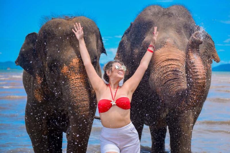 Phuket: Lily Elephant Half day Trip on the Beach with lunch - Practical Details & Tips for Travelers