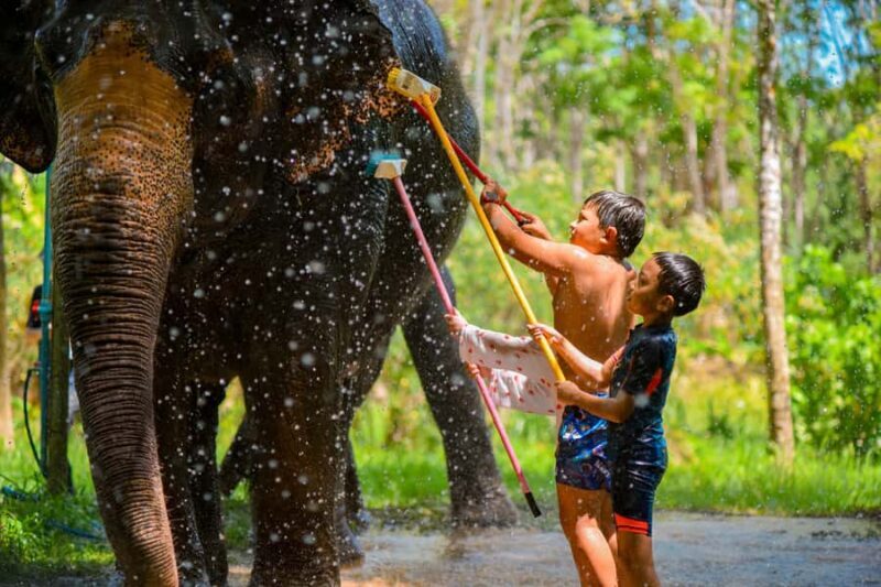 Phuket: Lily Elephant Half day Trip on the Beach with lunch - The Sum Up