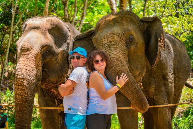Phuket: Make & Meet The Gentle Giant Experience - Key Points