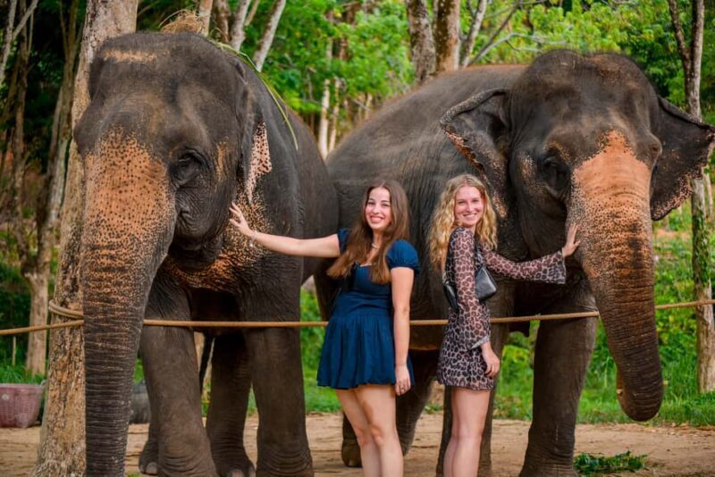 Phuket: Make & Meet The Gentle Giant Experience - A Detailed Look at the Experience