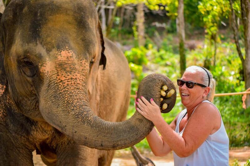 Phuket: Make & Meet The Gentle Giant Experience - Final Thoughts: Who It’s Best For