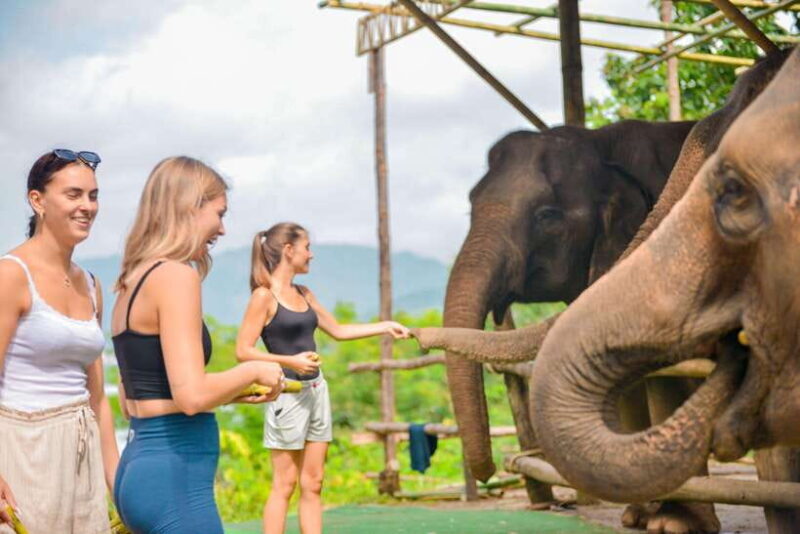 Phuket: Make & Meet The Gentle Giant Experience - FAQ