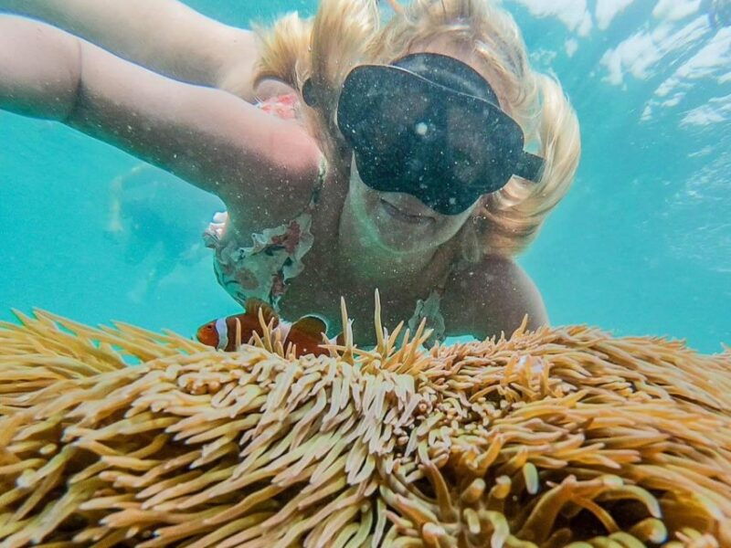 phuket-maya-bay-phi-phi-and-bamboo-island-full-day-trip-2