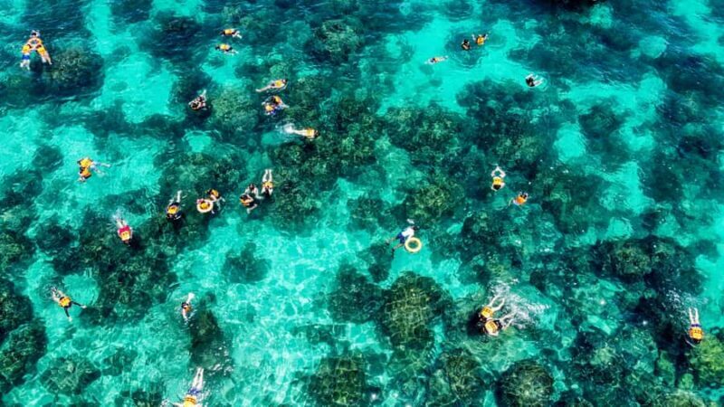 Phuket: Maya, Phi Phi, and Bamboo Island with Buffet Lunch - Who This Tour Suits Best