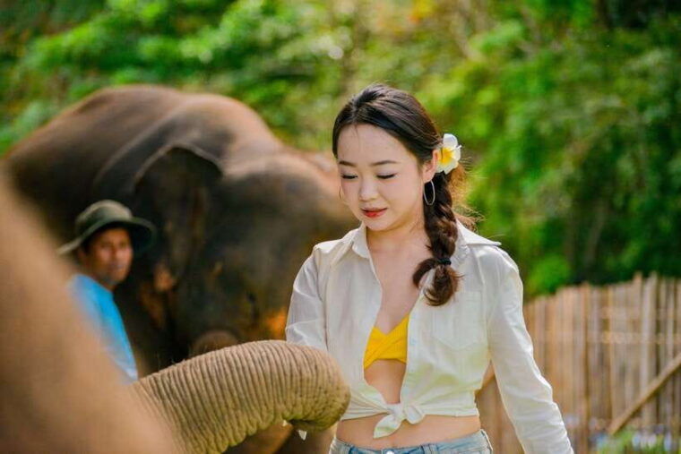 phuket-meet-feed-relax-with-elephant