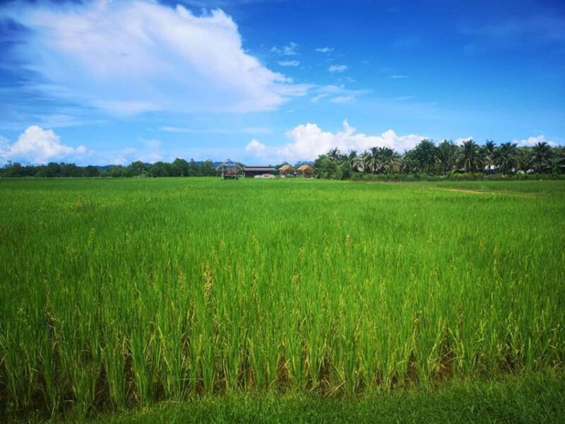 phuket-mountain-bike-tour-on-koh-yao-noi