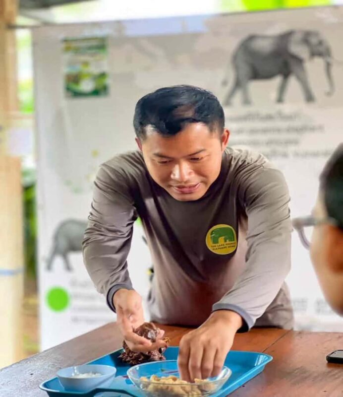 Phuket: Nature walk & Herb Ethical Wellness Elephant Tour - Why This Tour Fits Certain Travelers Best