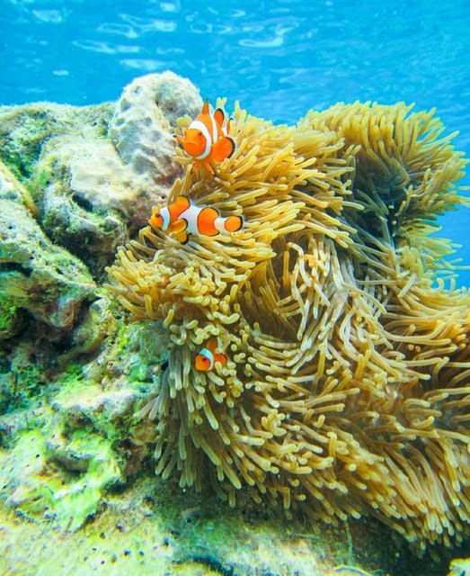 phuket-or-khao-lak-surin-islands-moken-village-day-trip