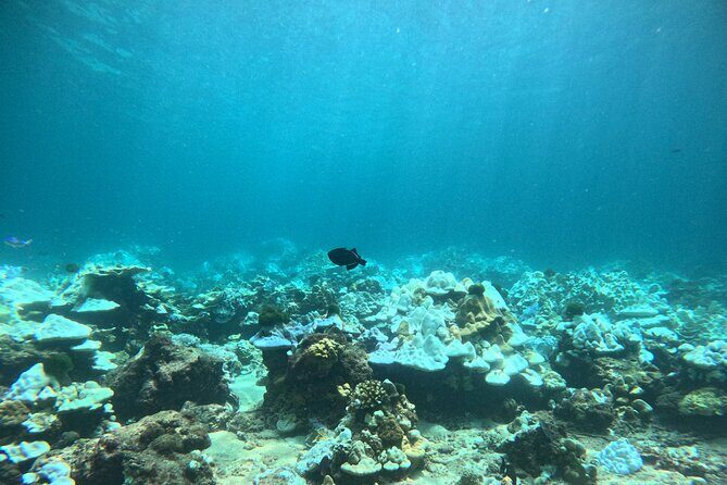 Phuket: PADI Discover Scuba Diving 1 beach dive - Frequently Asked Questions