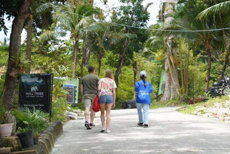 Phuket: Patong Elephant Sanctuary Observe & Learn Experience - Key Points