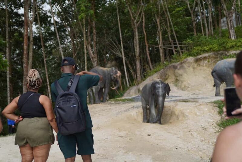 Phuket: Patong Elephant Sanctuary Observe & Learn Experience - An In-depth Look at the Experience