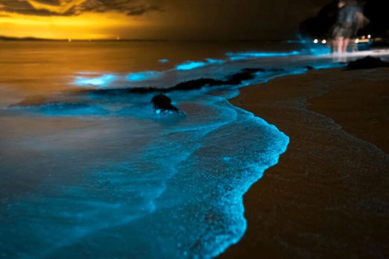 phuket-phang-nga-bay-bioluminescent-plankton-and-sea-canoes
