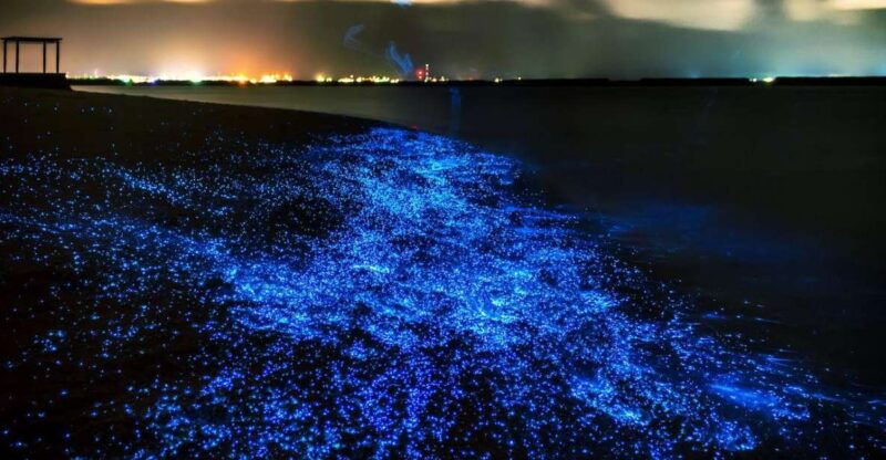 phuket-phang-nga-bay-bioluminescent-plankton-and-sea-canoes