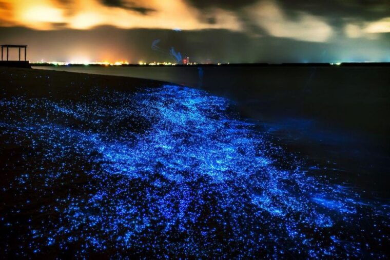 phuket-phang-nga-bay-bioluminescent-plankton-and-sea-canoes