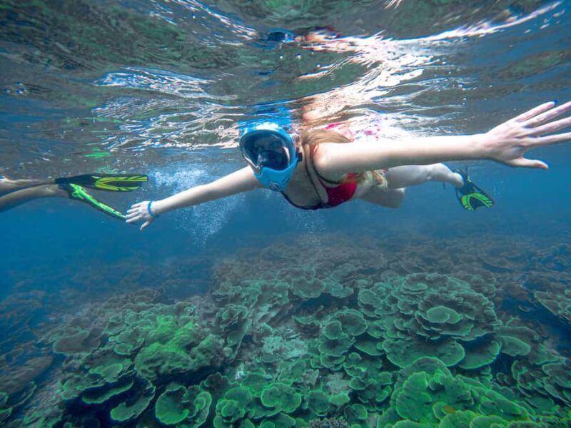 Phuket: Phi Phi & Bamboo Island by Speedboat - Key Points