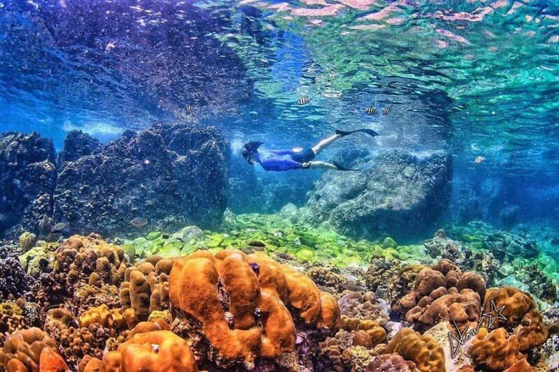 Phuket: Phi Phi & Bamboo Islands Snorkeling by Speedboat - FAQ