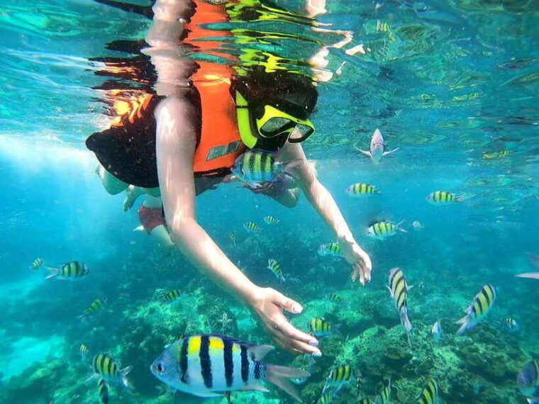 phuket-phi-phi-islands-and-maya-bay-day-trip-with-lunch-2