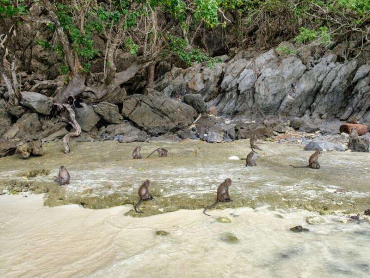 phuket-phi-phi-islands-bamboo-island-and-pileh-lagoon-trip