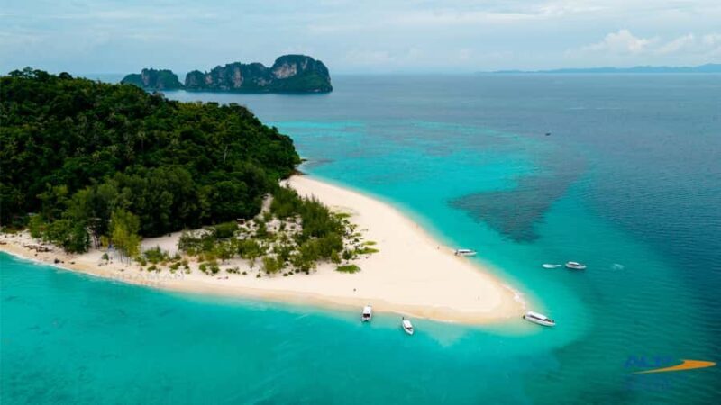 Phuket: Phi Phi Islands Premium Catamaran Tour Max 28 pax - Key Points