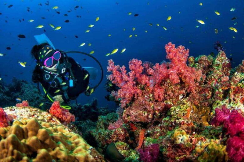 phuket-phi-phi-islands-shark-point-certified-scuba-dives