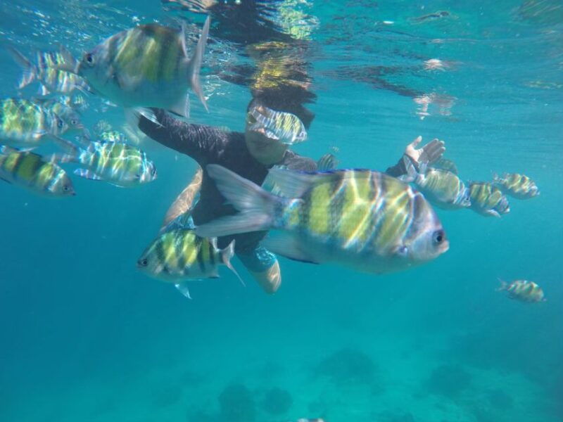 phuket-phi-phi-khai-island-private-speedboat-charter-tour